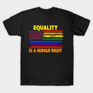 Equality Is A Human Right LGBT Rainbow Flag T-Shirt